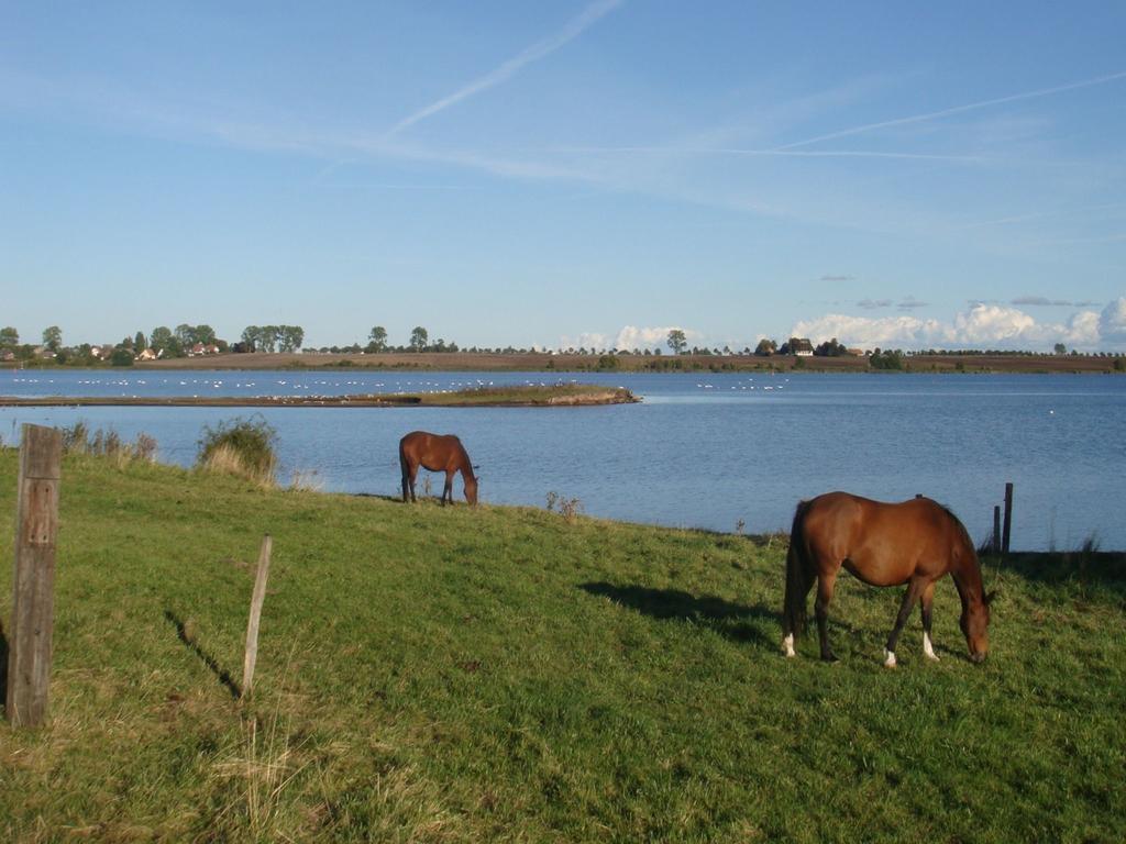 Appartementanlage Zur Seemoewe Insel Poel Exteriér fotografie